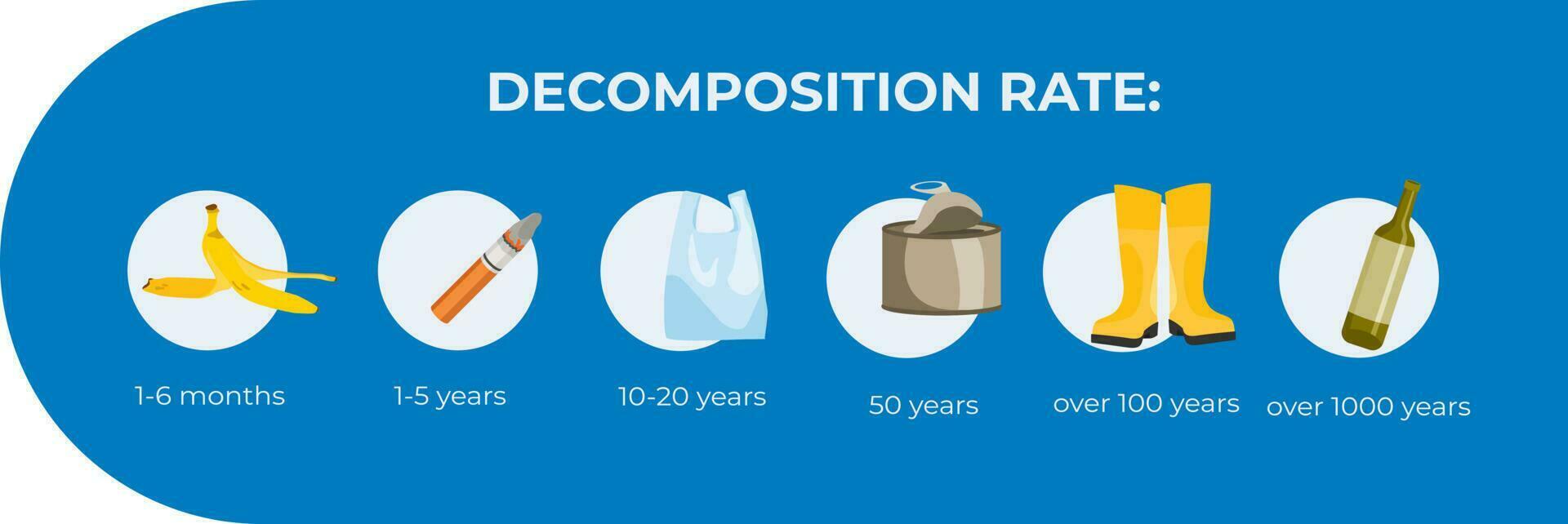 lixo decomposição período, ecologia, infográficos vetor