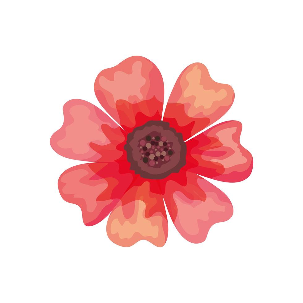 lindo ícone decorativo de flor vermelha vetor