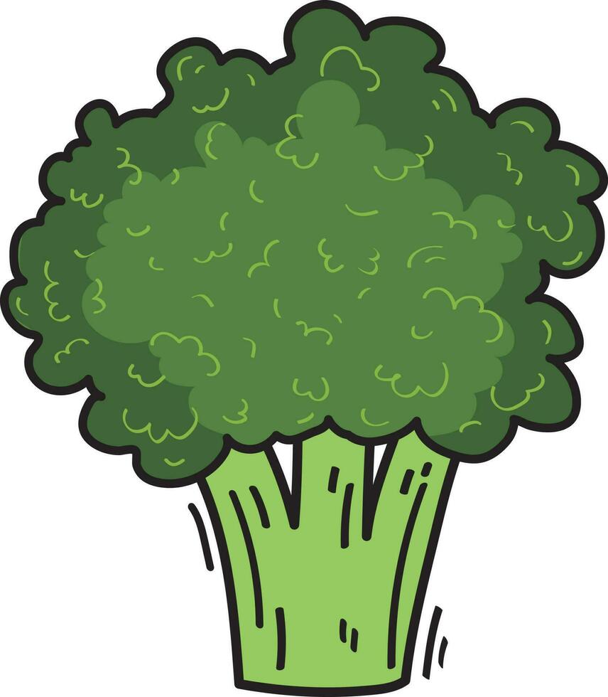 verde brócolis vegetal ilustração Comida vetor