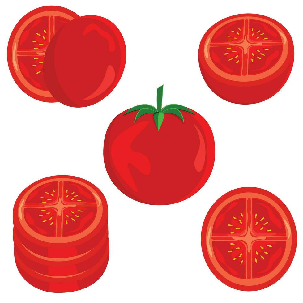 conjunto do cortar vermelho tomates - vetor ilustração