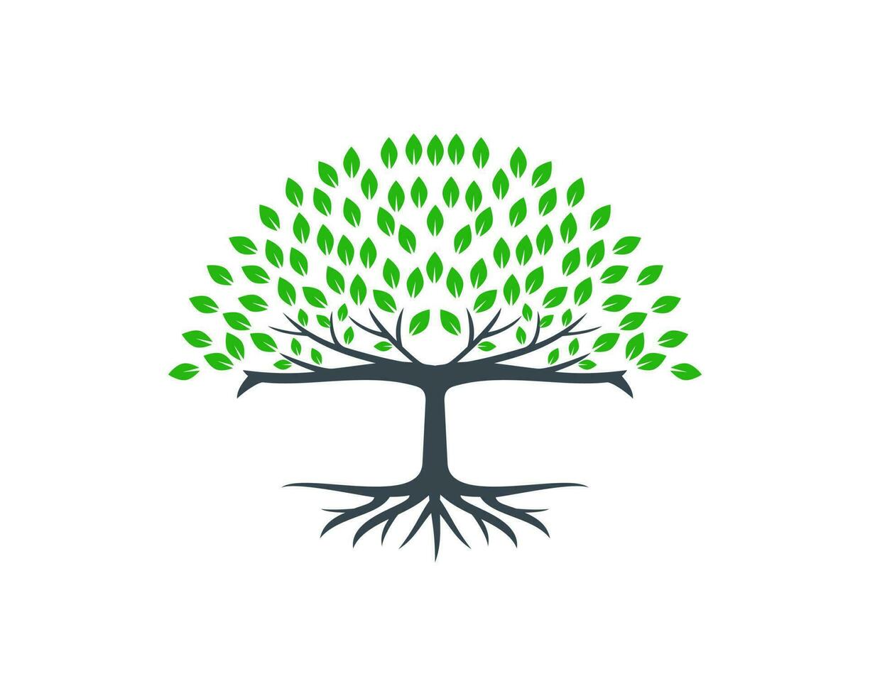 raiz do a árvore logotipo vetor ilustração. grande árvore logotipo Projeto inspiração isolado em branco fundo. natural e de Meio Ambiente ícone