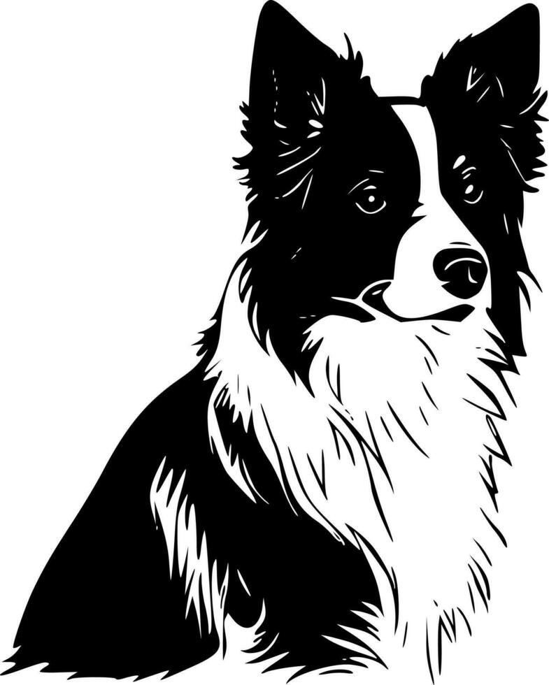 fronteira collie, minimalista e simples silhueta - vetor ilustração