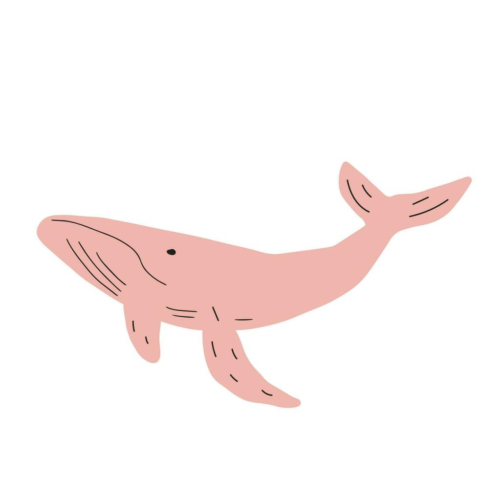 baleia, oceano animal. vida marinha dentro escandinavo estilo em uma branco fundo. ótimo para poster, cartão, vestuário imprimir. vetor ilustração