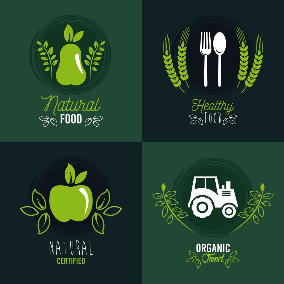 cartaz de comida premium e saudável com ícones definidos vetor