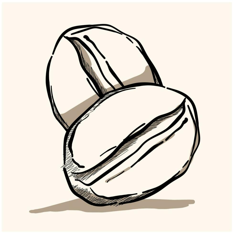 café feijões rabisco, uma mão desenhado vetor rabisco ilustração do café feijões.