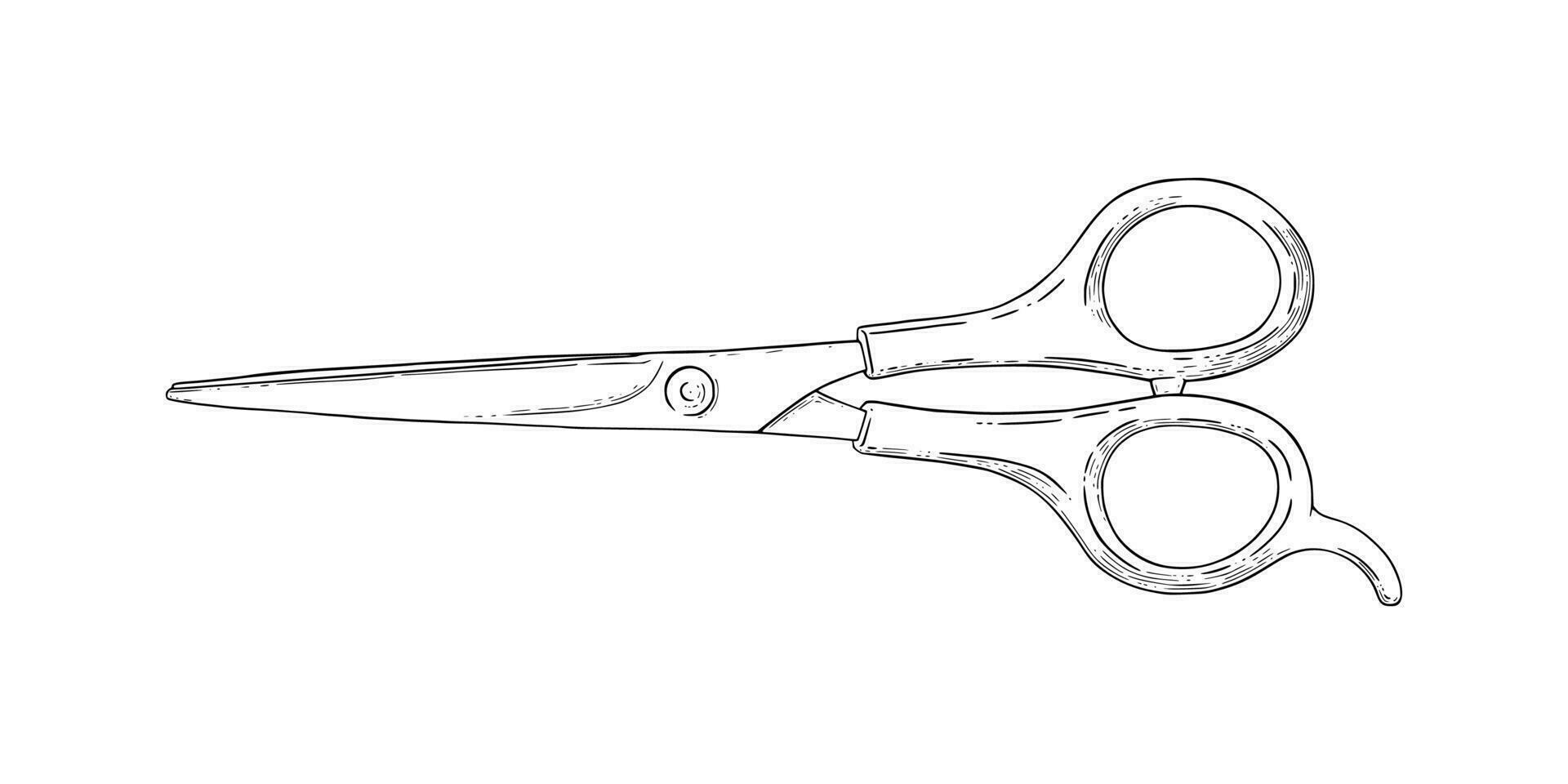 tesouras esboço. cabeleireiro tesoura de jardim ferramenta. vetor ilustração