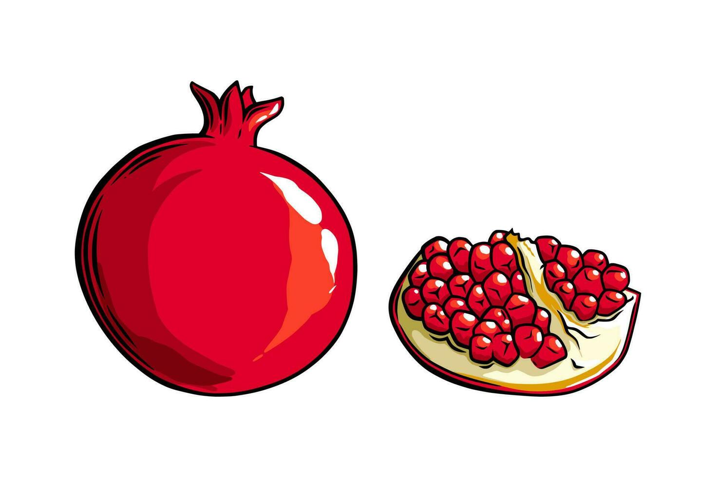 romã fruta lado visualizar. colori exótico romã fruta. vetor ilustração