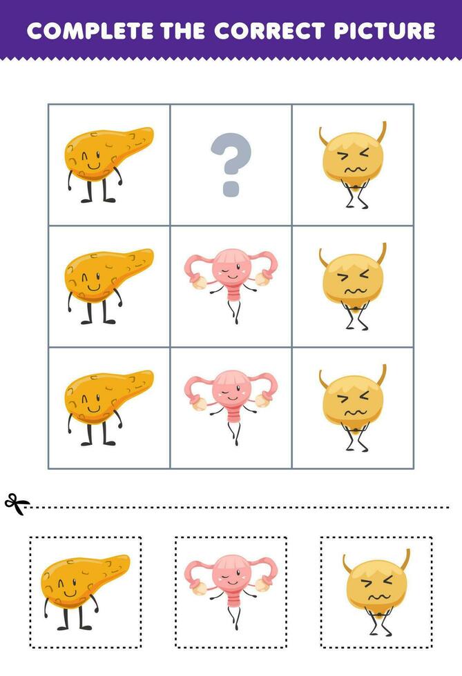 Educação jogos para crianças para escolher e completo a corrigir cenário do uma fofa desenho animado pâncreas útero ou bexiga imprimível anatomia planilha vetor