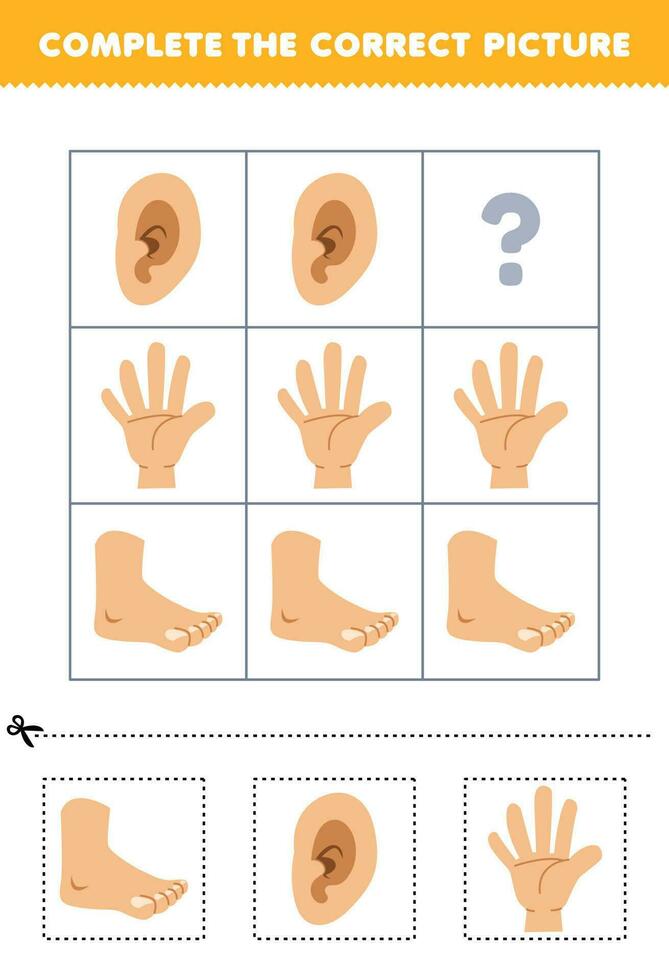 Educação jogos para crianças para escolher e completo a corrigir cenário do uma fofa desenho animado pé orelha ou mão imprimível anatomia planilha vetor