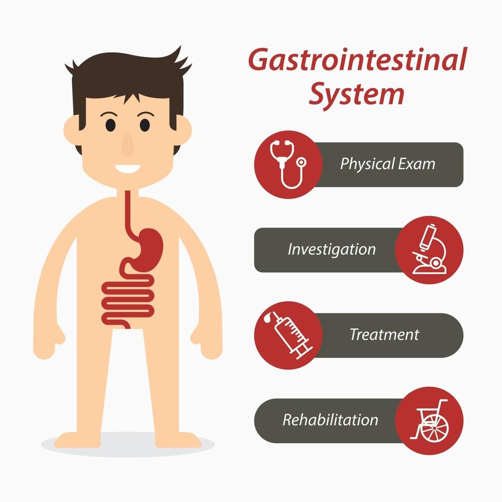 sistema gastrointestinal e ícone de linha médica vetor