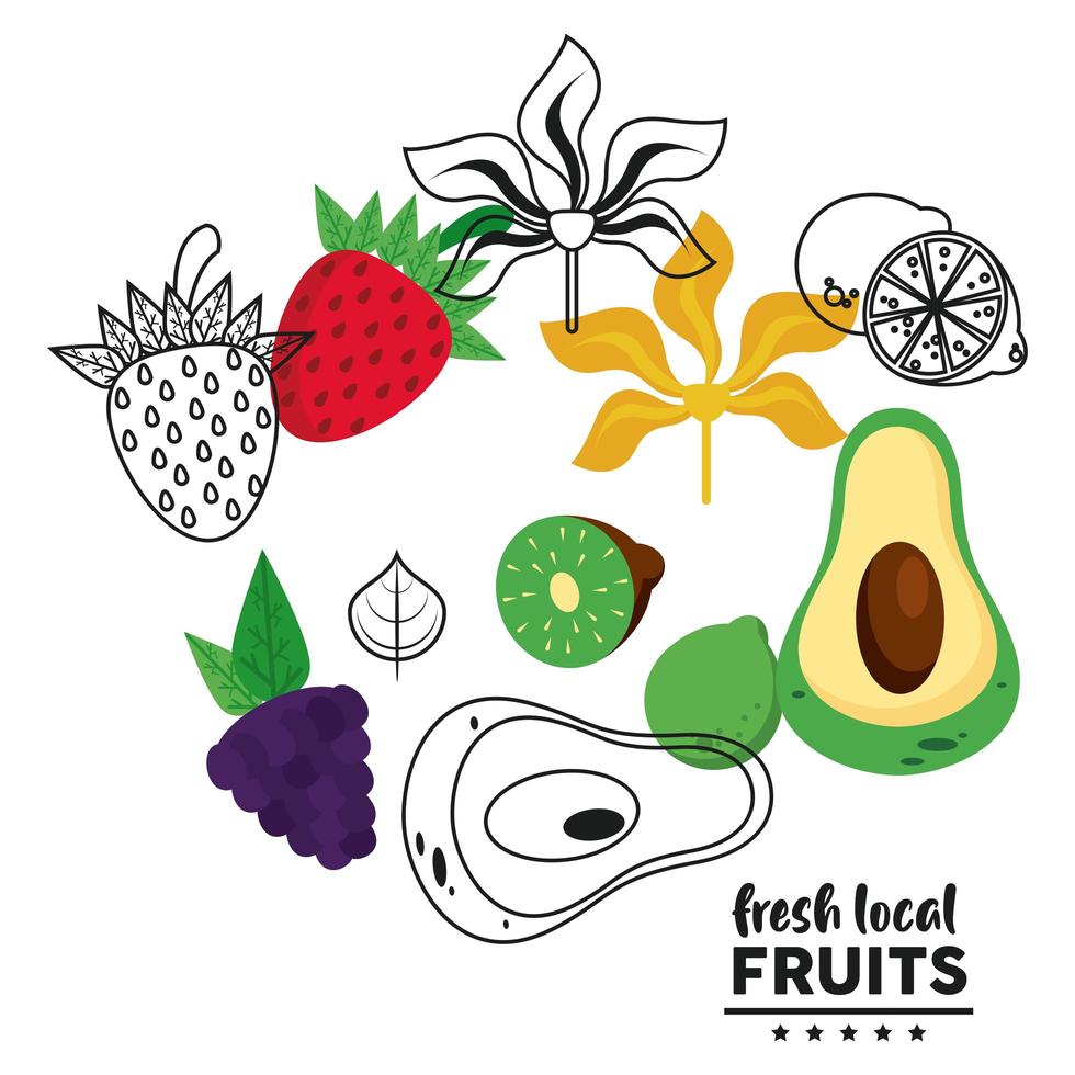 letras de frutas locais frescas com frutas definidas em fundo branco vetor