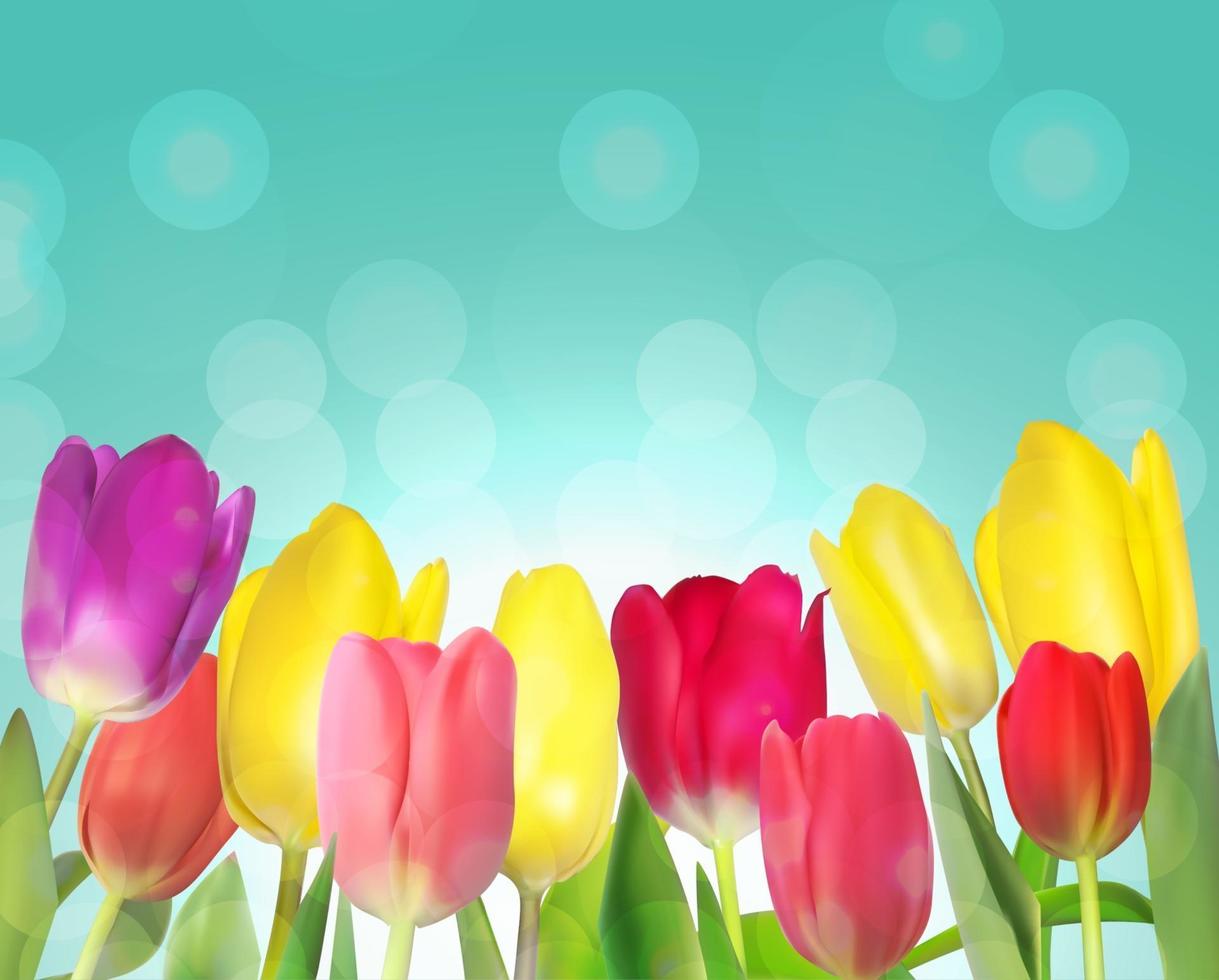 fundo floral com tulipas vetor
