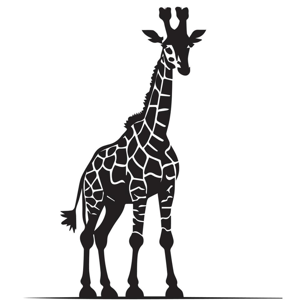 girafa vetor silhueta, Preto e branco girafa logotipo conceito.