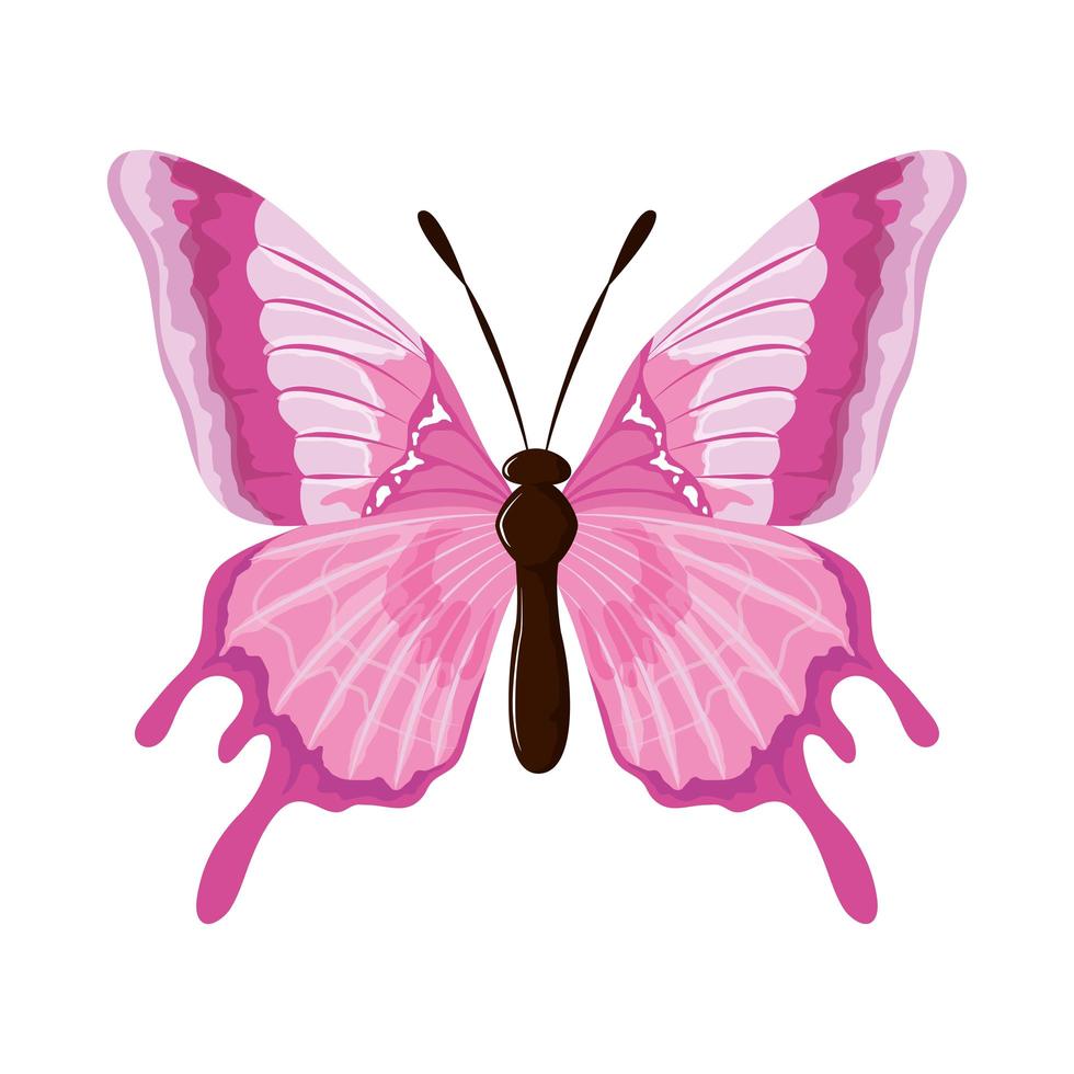 aquarela borboleta rosa vetor