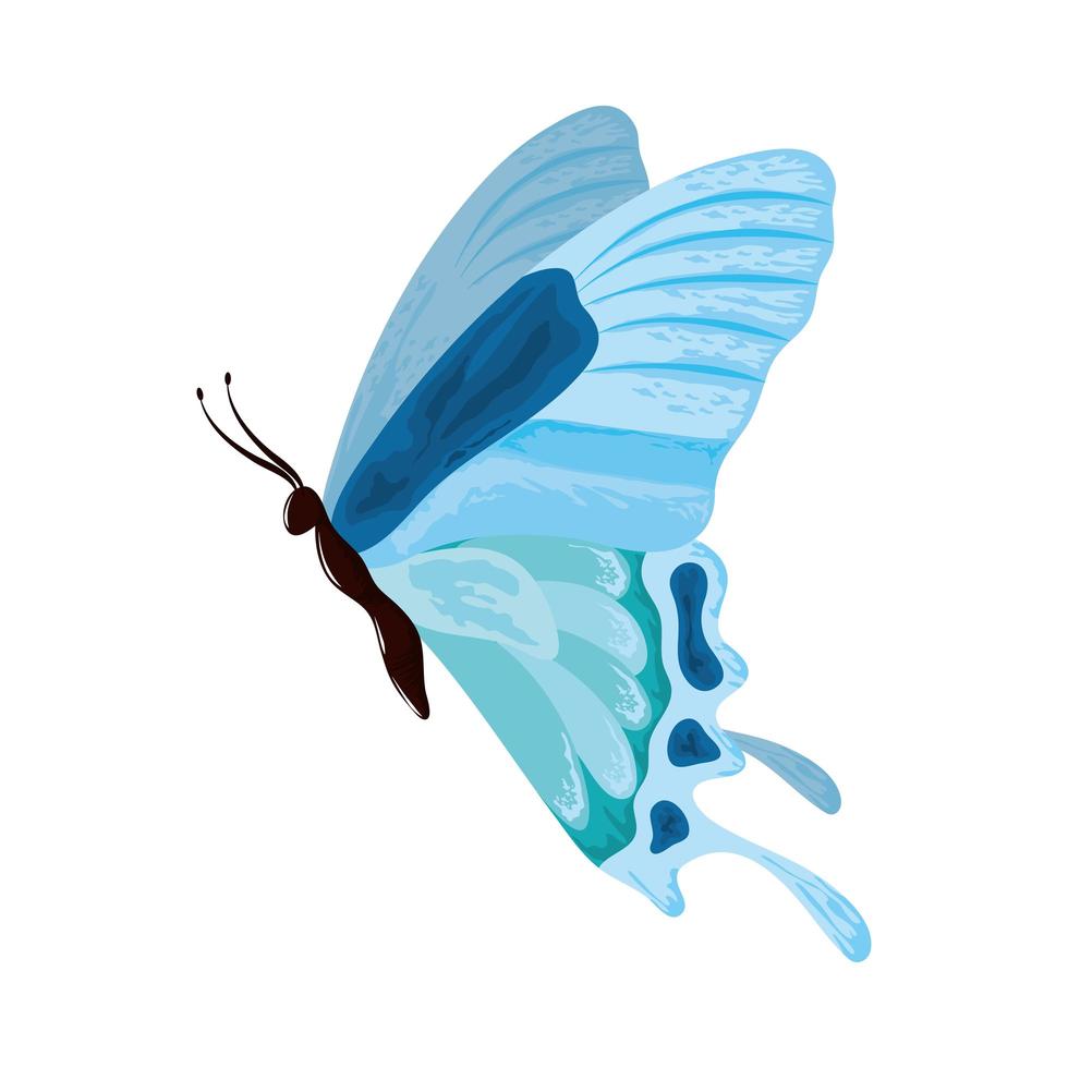 borboleta azul aquarela vetor