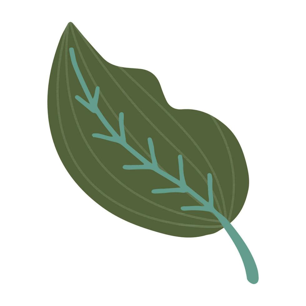 mão desenhado ilustração do verde folha. decorativo floral elemento dentro rabisco estilo vetor