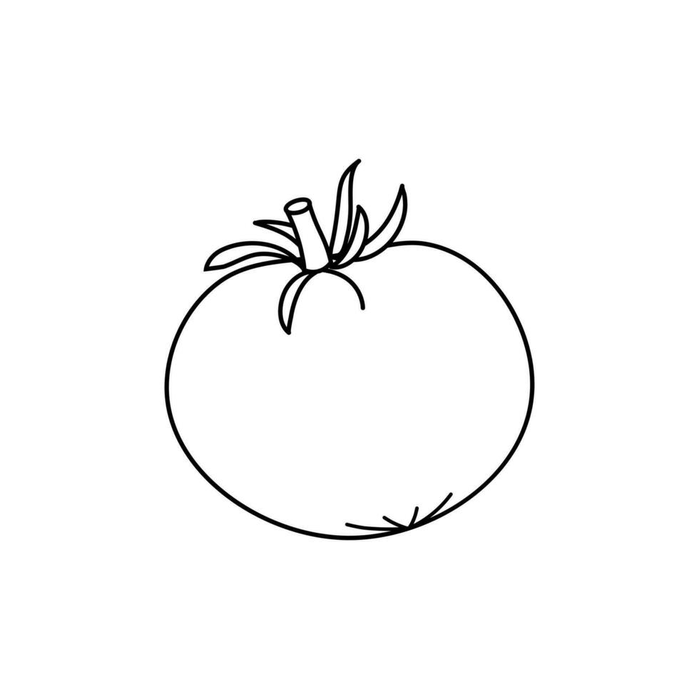 tomate ícone dentro esboço estilo. isolado objeto. tomate logotipo. orgânico Comida. vetor ilustração. vegetal a partir de a Fazenda.