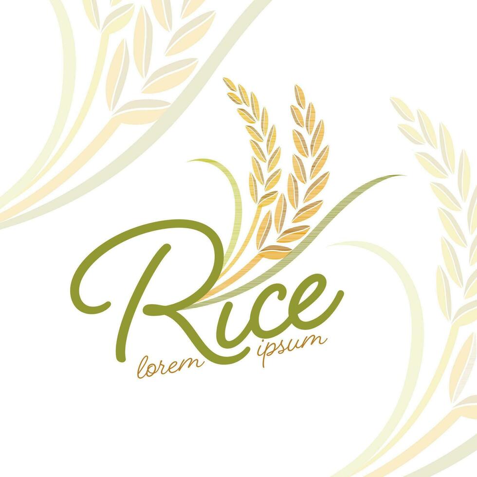 design de vetor de banner de produto natural orgânico premium de arroz em casca