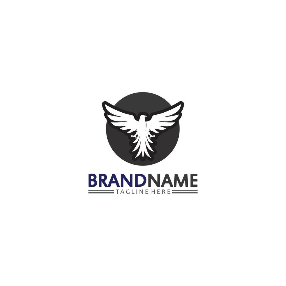 falcon logo template vector