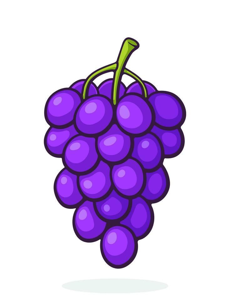 desenho animado ilustração do uma grupo do uvas com volta roxa bagas vetor