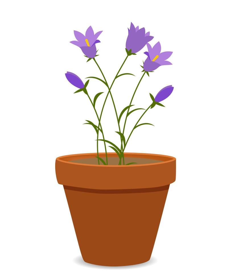 ilustração vetorial de fundo de flores de campânula de primavera vetor