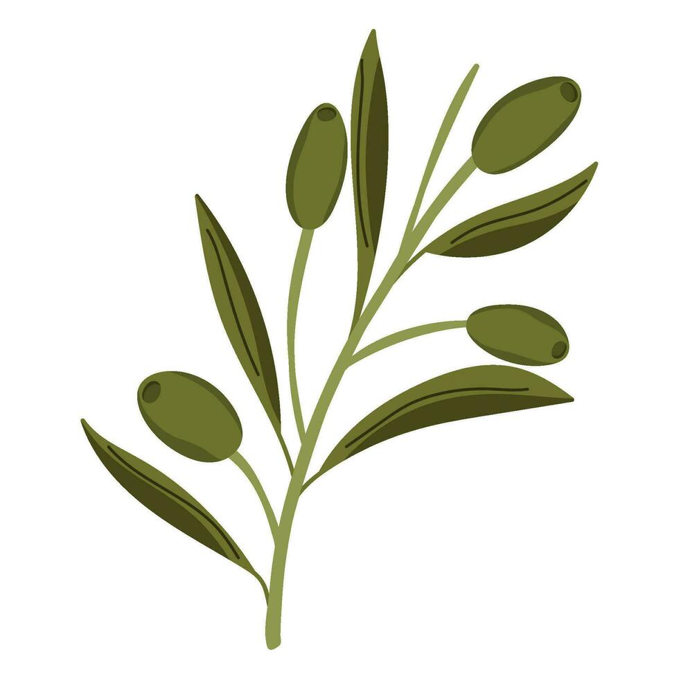 ramo folhas do azeitonas ícone isolado vetor