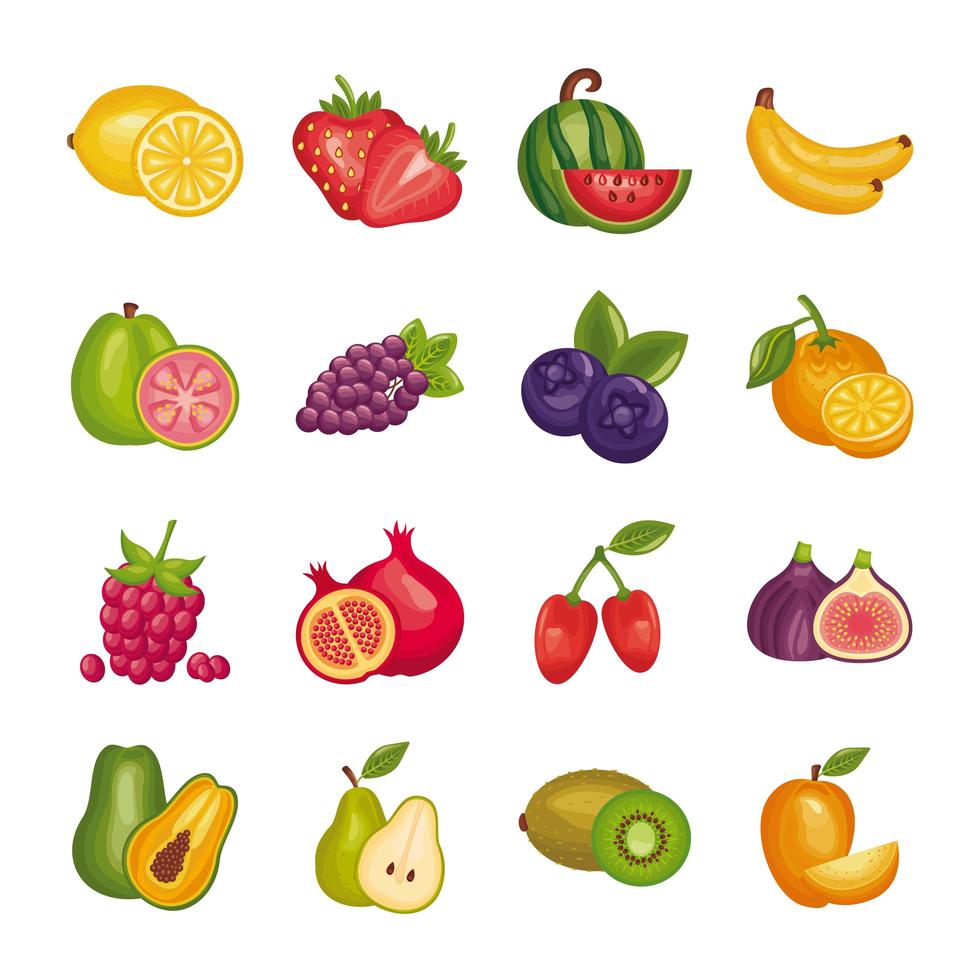 pacote de frutas frescas definir ícones vetor