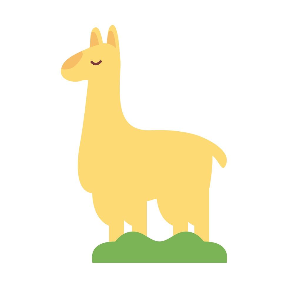 ícone de estilo plano de animal exótico de alpaca vetor