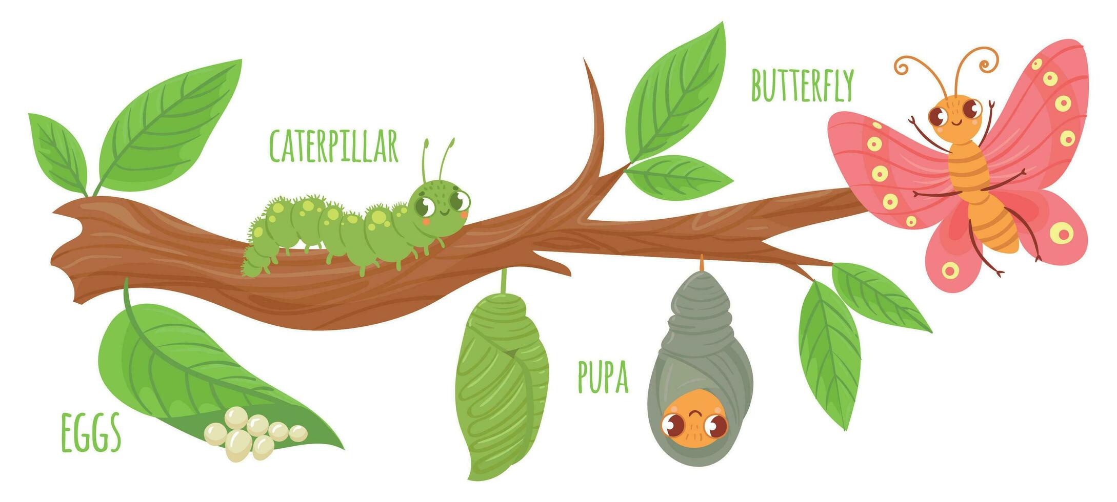 desenho animado borboleta vida ciclo. lagarta transformação, borboletas ovos, lagartas e pupa. insetos crescendo vetor ilustração. inseto desenvolvimento estágios. fofa animais selvagens em árvore ramo