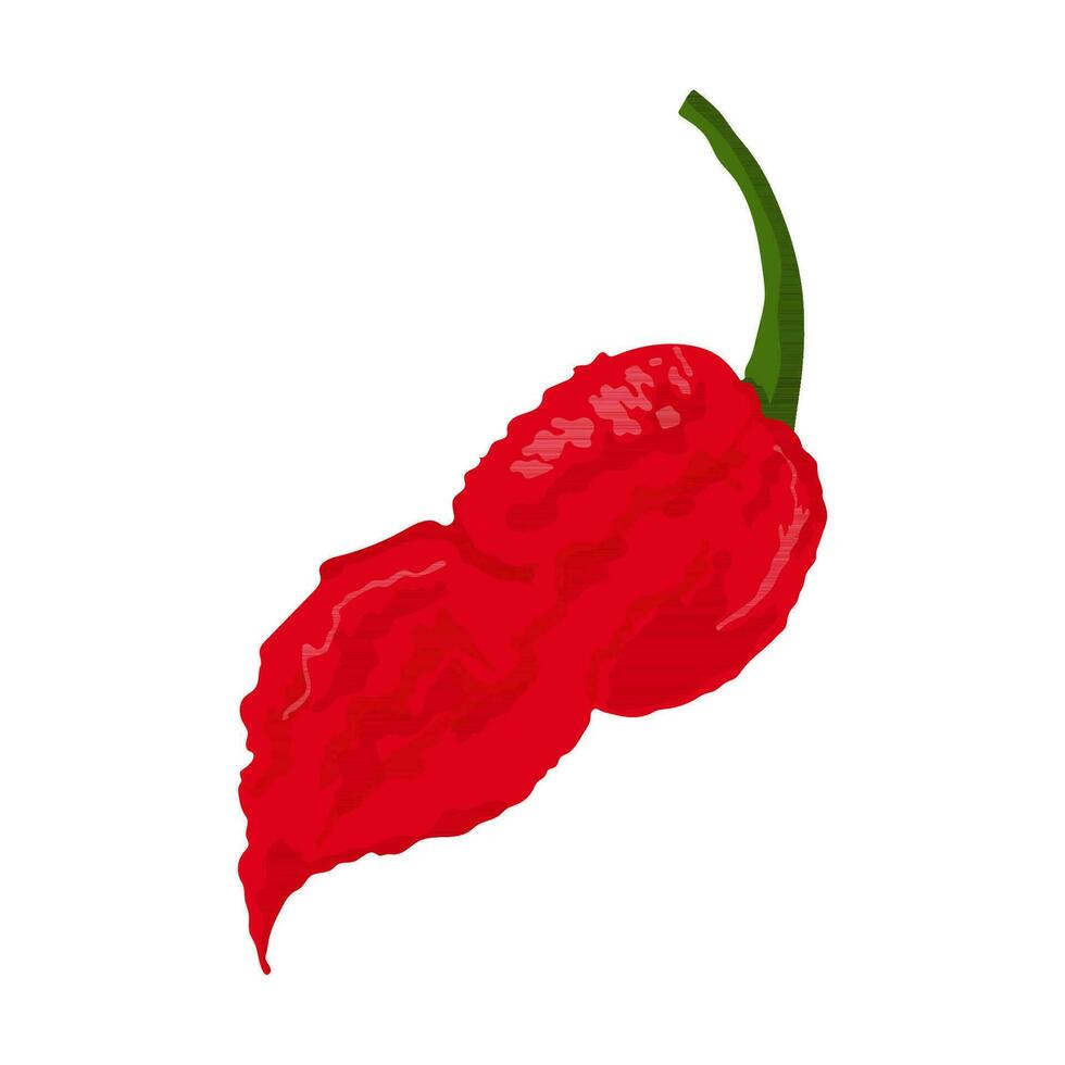 mas jolokia fantasma Chile pimentas. naga jolokia. pimento chinês. quente Pimenta Pimenta. Pimenta Pimenta. legumes. vetor ilustração isolado em branco fundo. desenho animado estilo.