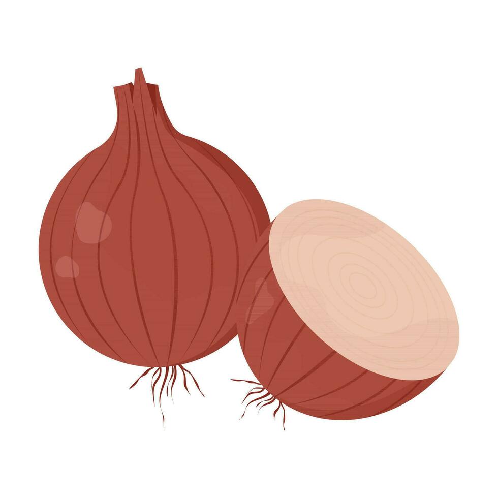 vermelho cebola. delicioso e saudável vegetal usava dentro Comida. uma raiz vegetal este é preparado Como uma tempero. vetor ilustração isolado em uma branco fundo para Projeto e rede.