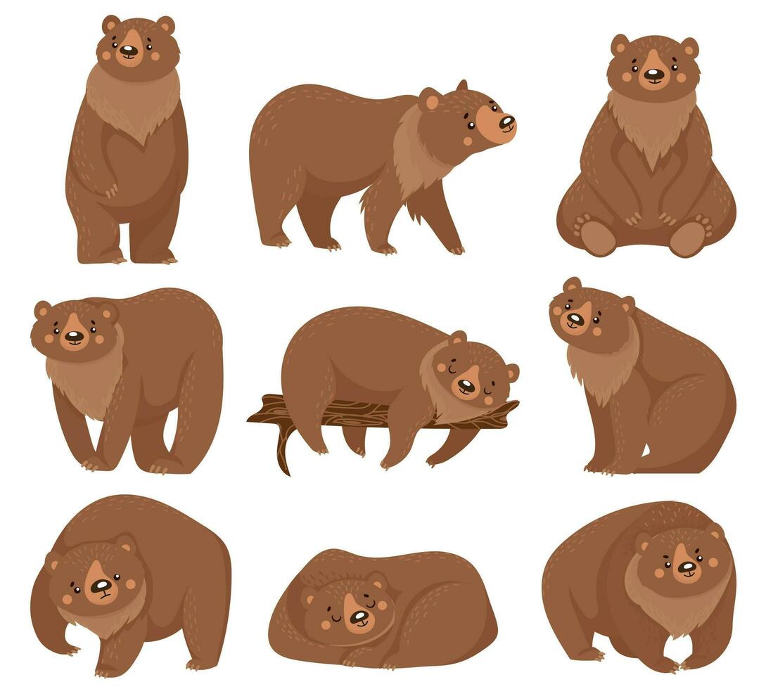 desenho animado Castanho urso. grisalho ursos, selvagem natureza floresta predador animais e sentado Urso isolado vetor ilustração