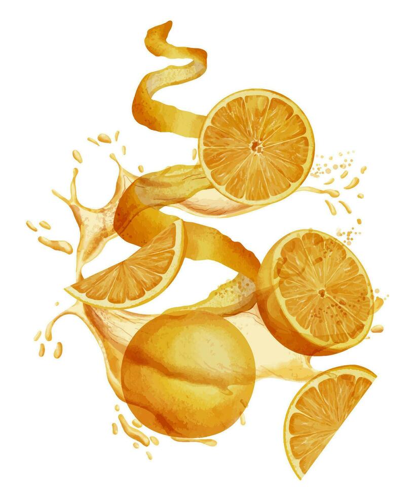 laranja fruta fatias com respingo do suco. mão desenhado aguarela ilustração do citrino Comida em branco isolado fundo para rótulo ou cardápio. movimento composição com tangerinas. esboço do mandarins. vetor