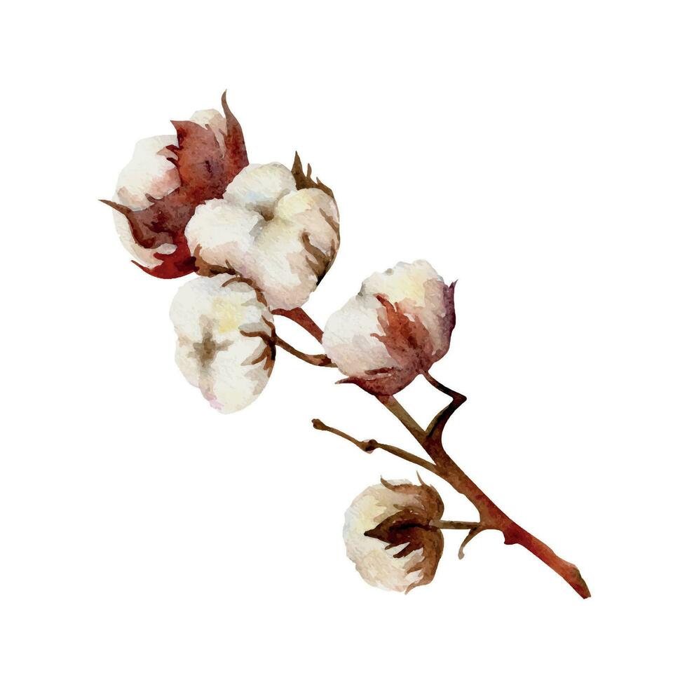 mão desenhado aguarela rosa, verde e Castanho algodão flor, folhas brotos boll. natural plantar. botânico ilustração isolado objeto conjunto em branco fundo. para fazer compras logotipo imprimir, local na rede Internet, cartão, livreto. vetor