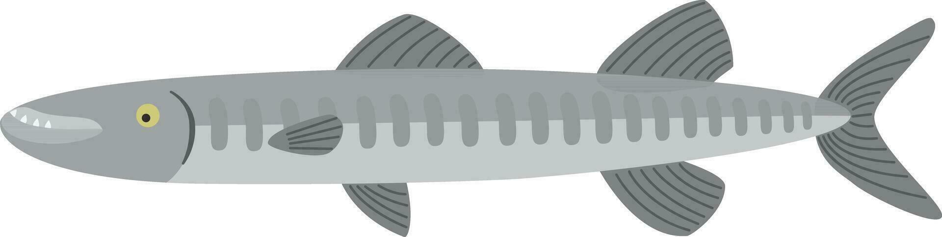 barracuda peixe ilustração vetor