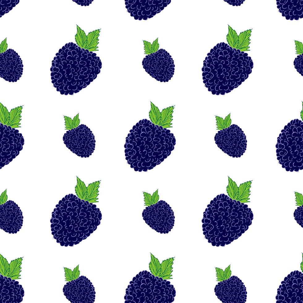 frutas fundo padrão sem emenda com ilustração em vetor skech blackberry desenhada à mão