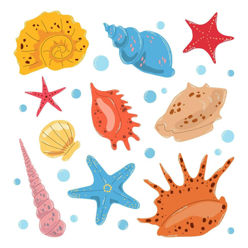 conjunto colorida diferente conchas do mar e estrelas do mar dentro plano mão desenhado vetor estilo isolado em branco fundo.