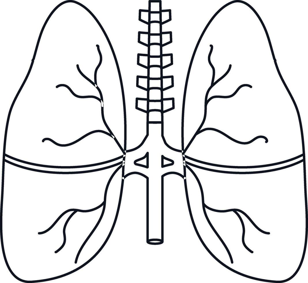 ilustração do pulmões ícone dentro corpo dentro acidente vascular encefálico estilo. vetor