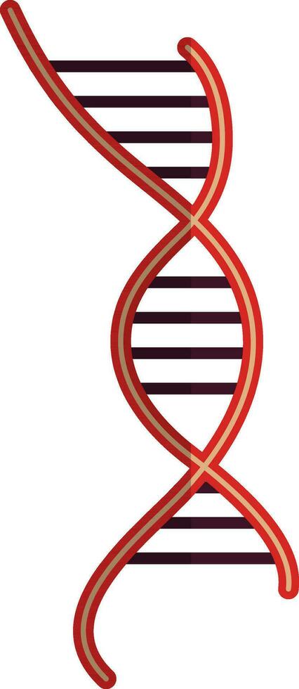 dna símbolo dentro cor com metade sombra do isolado. vetor