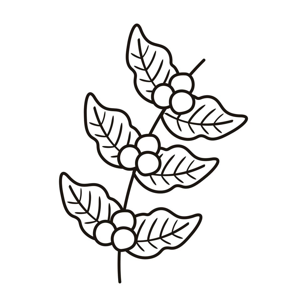 ícone de estilo de linha natureza grãos de planta de café vetor