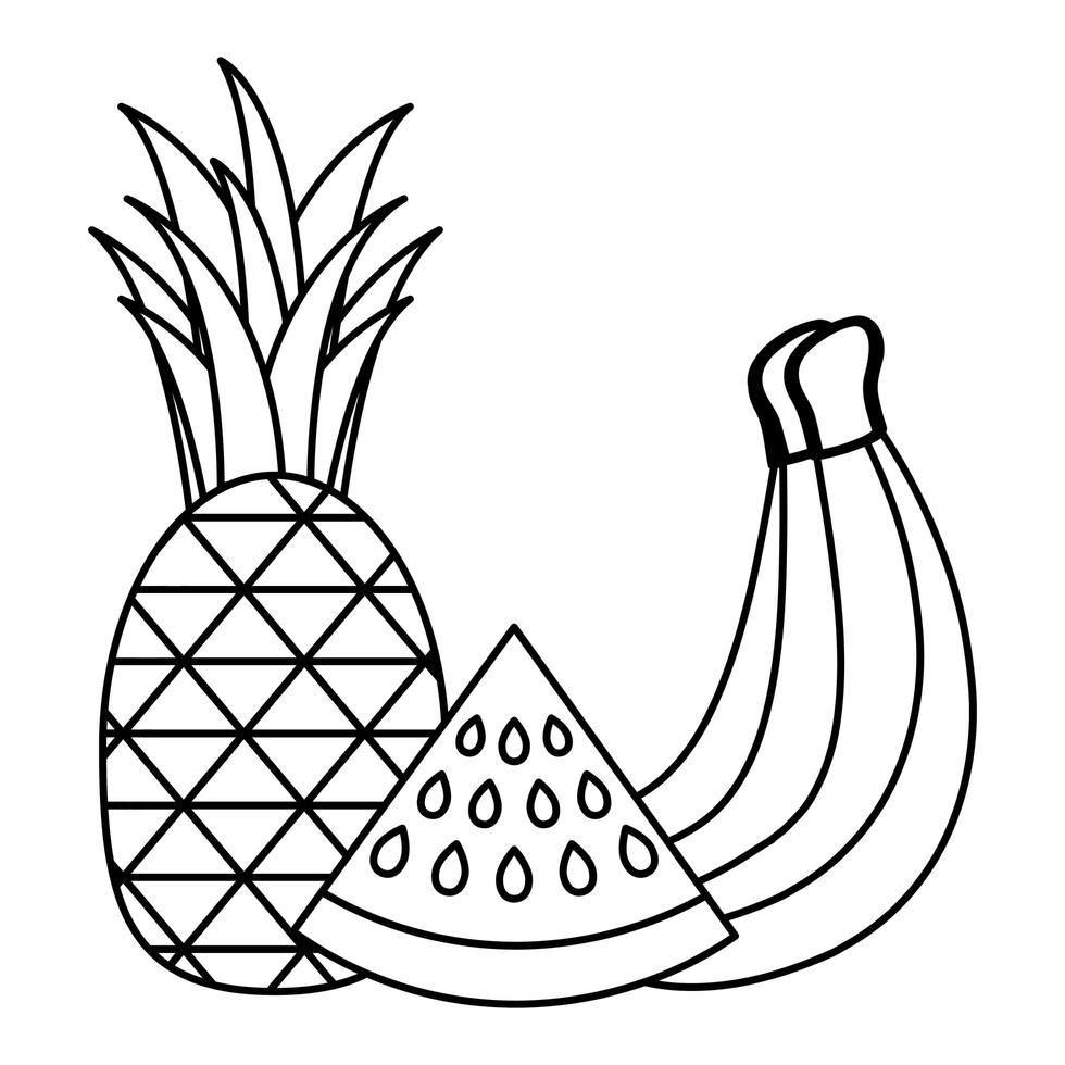 desenho vetorial de banana abacaxi e melancia vetor