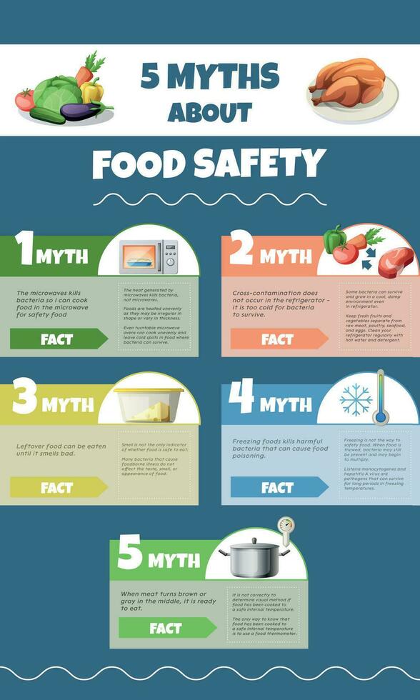 Comida segurança mitos infográficos vetor