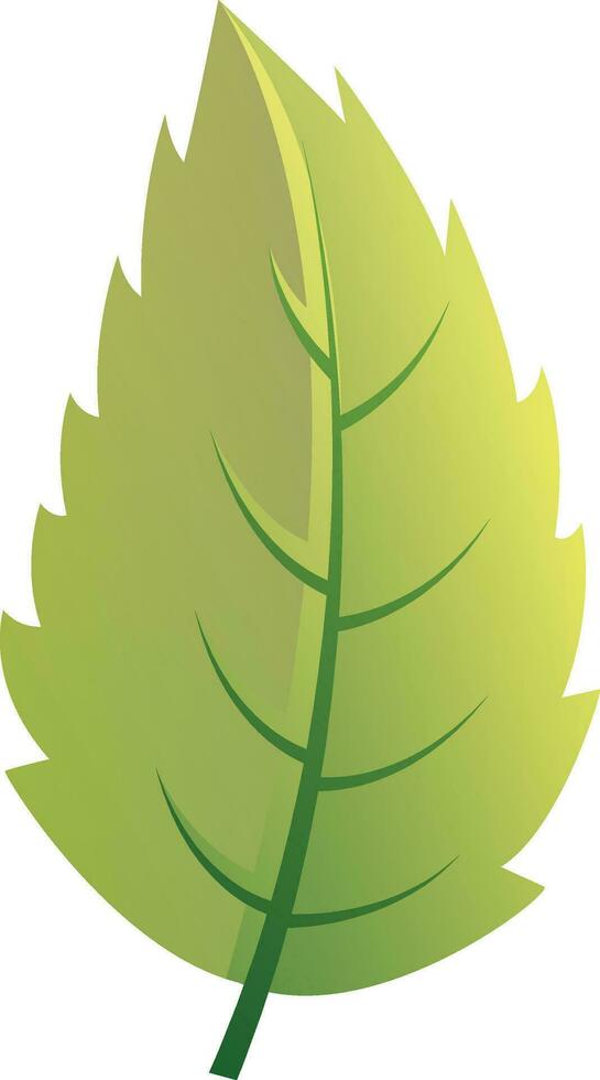 plano ilustração do uma brilhante verde folha. vetor