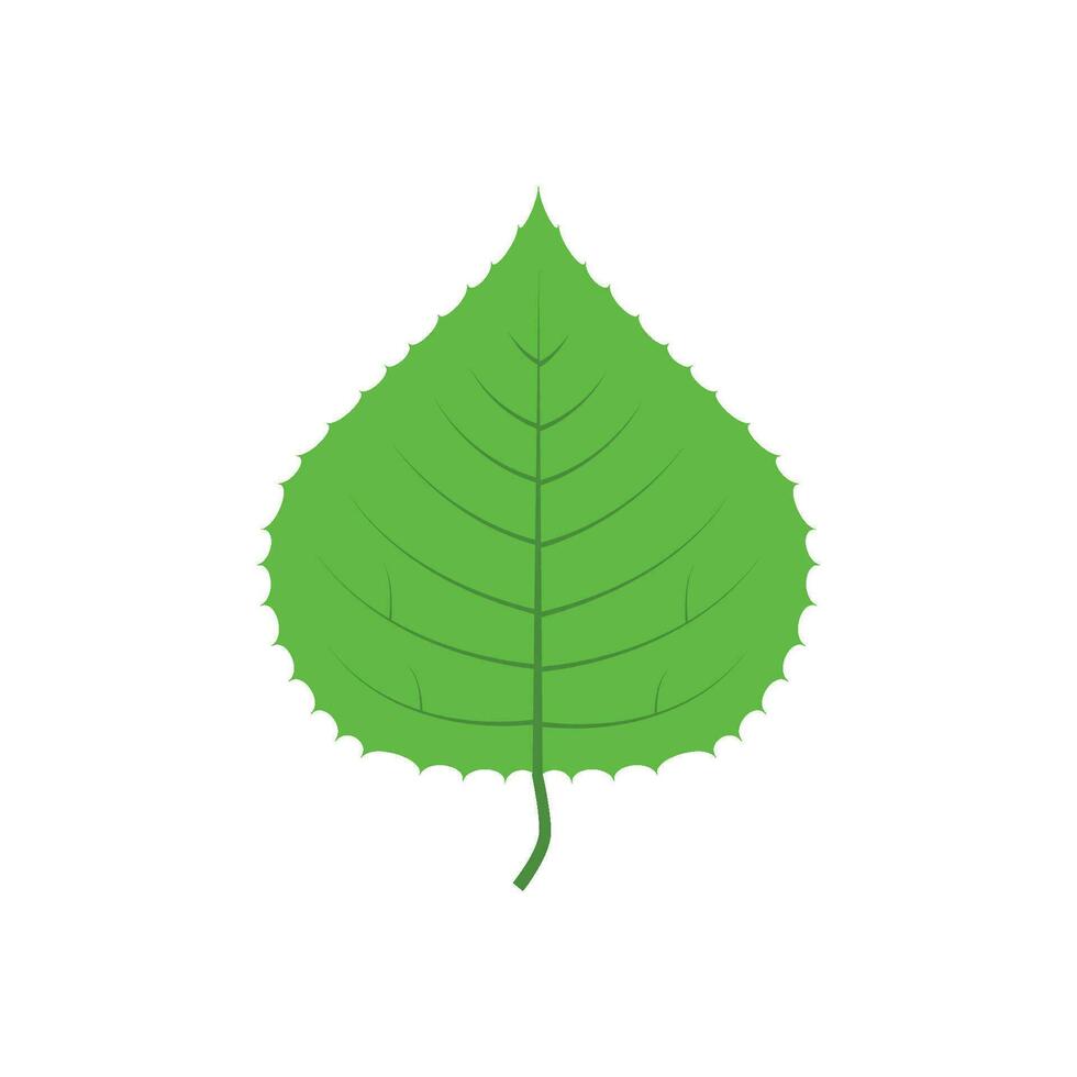 verde árvore folha vetor ilustração isolado em transparente fundo