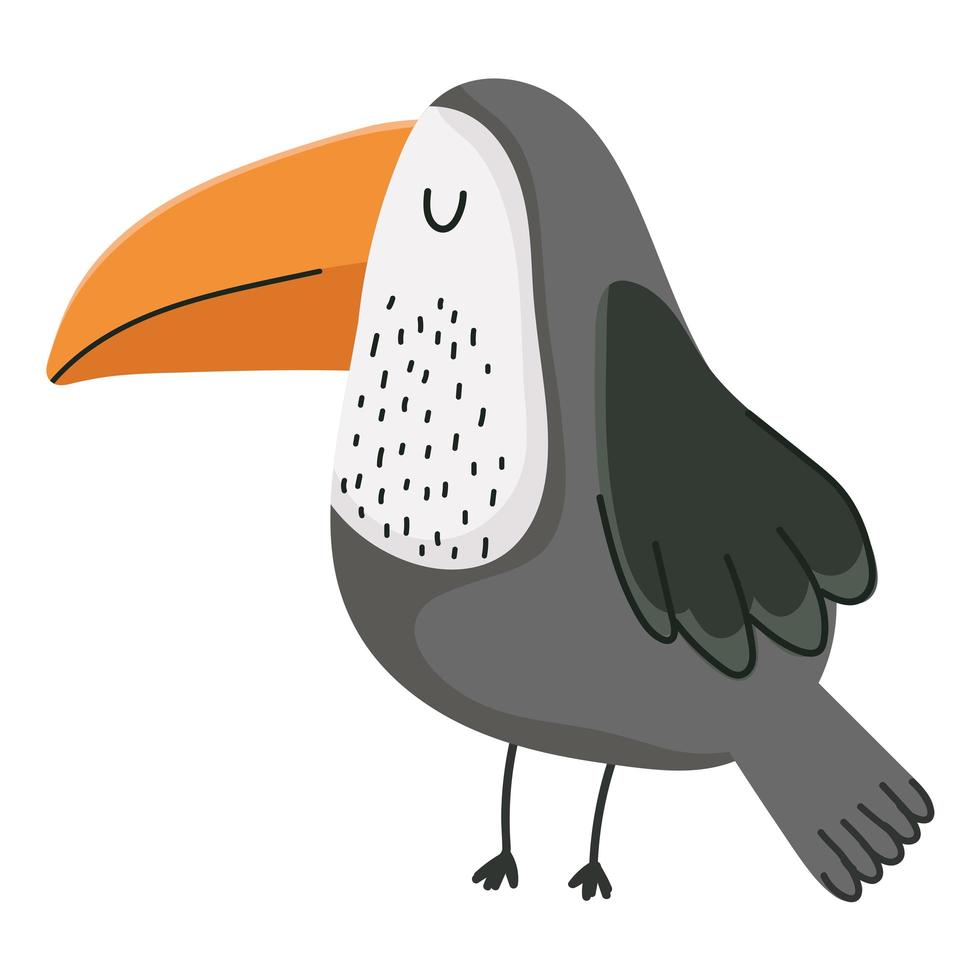 desenho de animal pássaro tucano vetor
