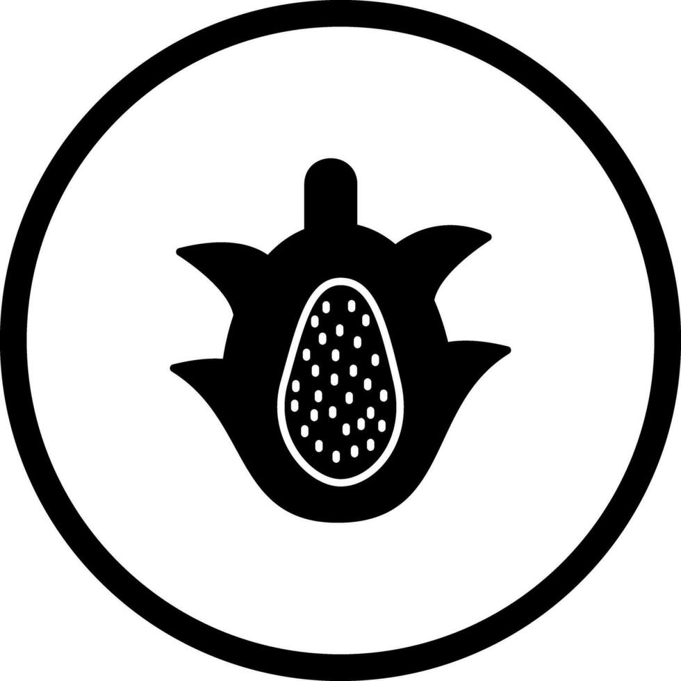 ícone de vetor de fruta do dragão