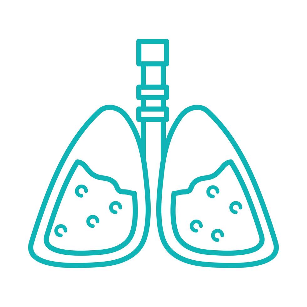 pulmões sistema respiratório vetor