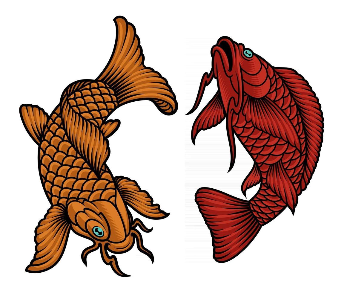 uma ilustração em vetor de peixe koi japonês em fundo branco
