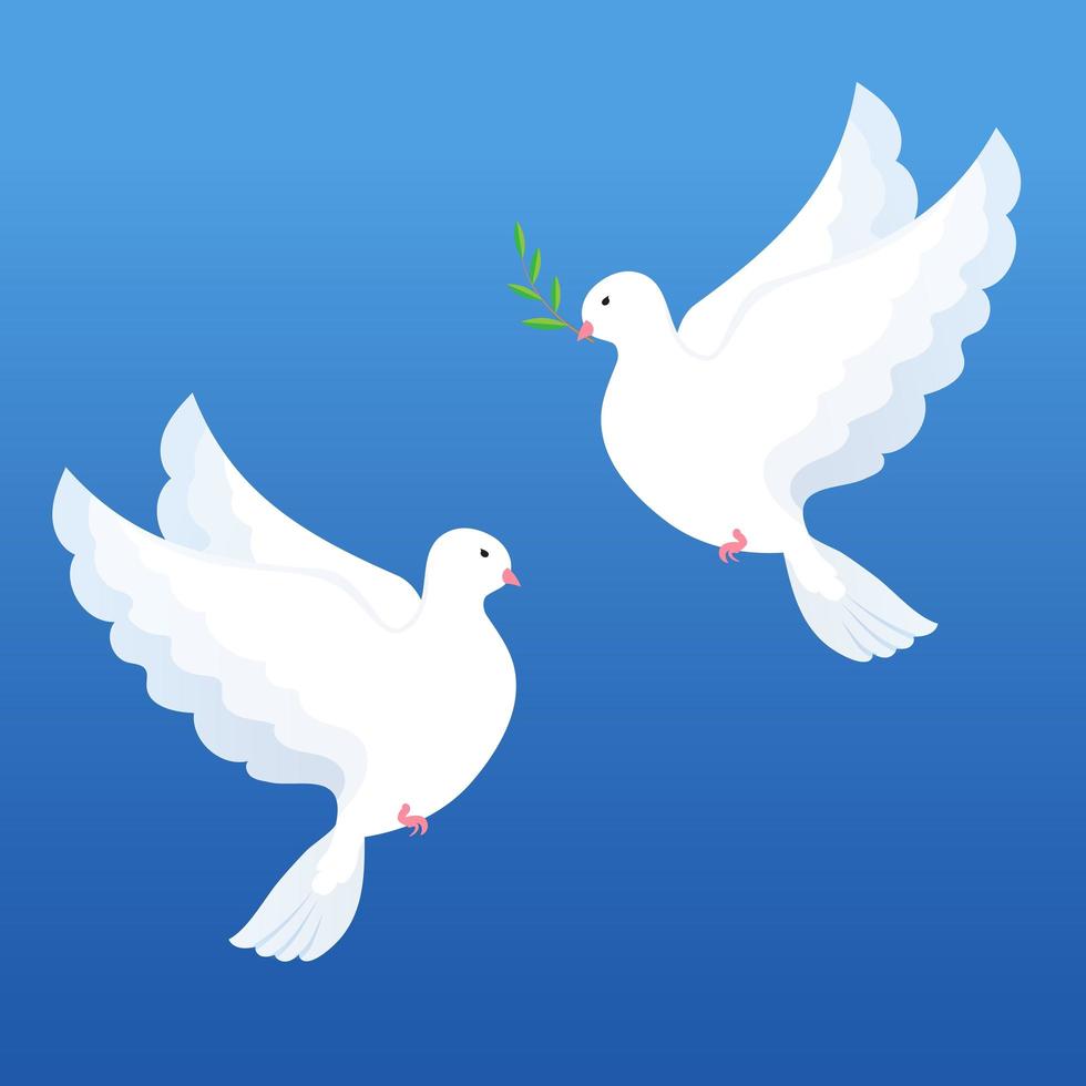 pombas brancas com galho de oliveira em um fundo azul vetor