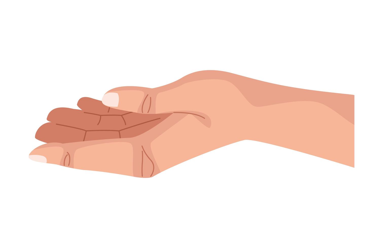 mão humana recebendo ícone isolado vetor